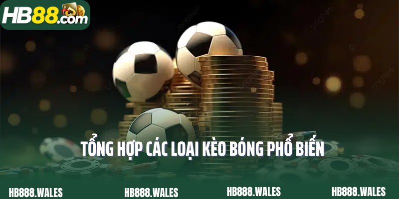 Bật mí các loại kèo bóng phổ biến theo cao thủ HB88