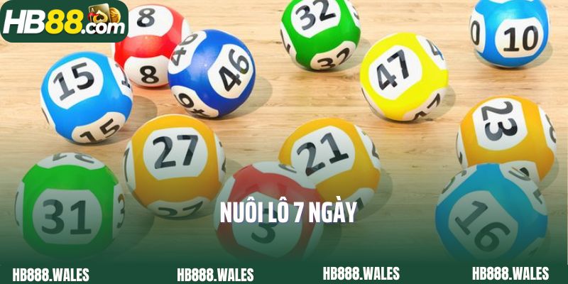Nuôi Lô 7 Ngày Tại HB88 – Hành Trình Kiên Nhẫn Để Hái Lộc