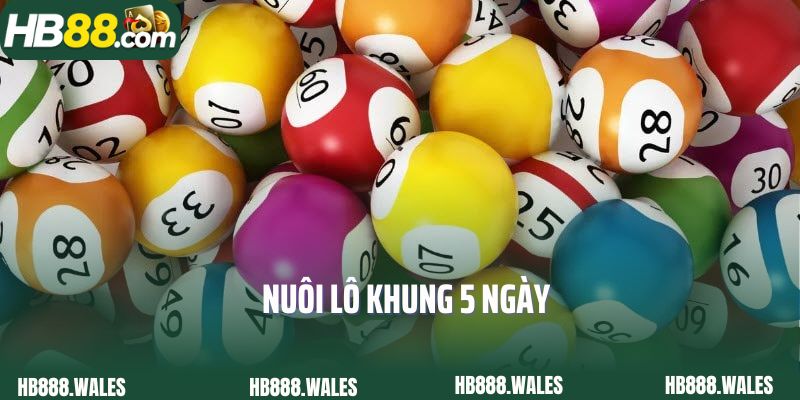 Nuôi Lô Khung 5 Ngày HB88 Chia Sẽ Bí Quyết Hot Nhất 2025