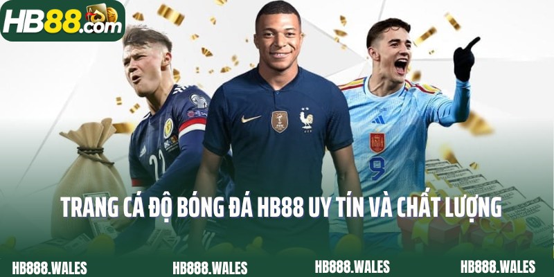 Bật mí thông tin thú vị về trang cá độ bóng đá HB88 đỉnh cao
