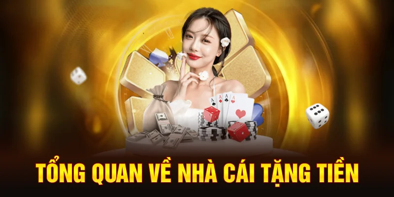 tong-quan-ve-nha-cai-tang-tien